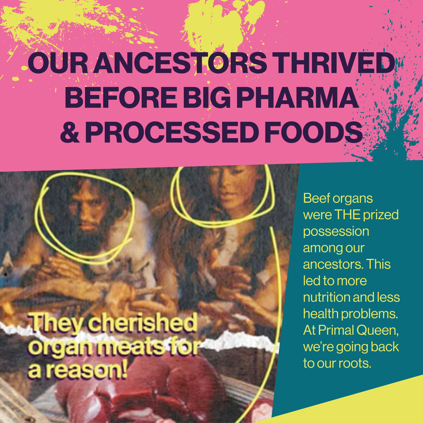 Primal Queen Female-Optimized Beef Organ Superfood Supplement (Beef Liver, Kidney, Heart, & 3 More) - 100% Grass Fed, Pasture Raised - 3rd Party & Clinically Tested